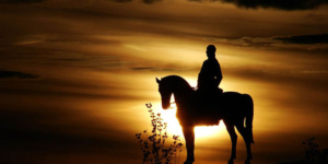 Magányos lovas a naplementében